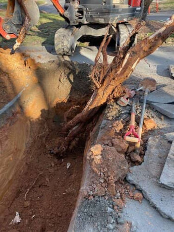 Sewer Repair